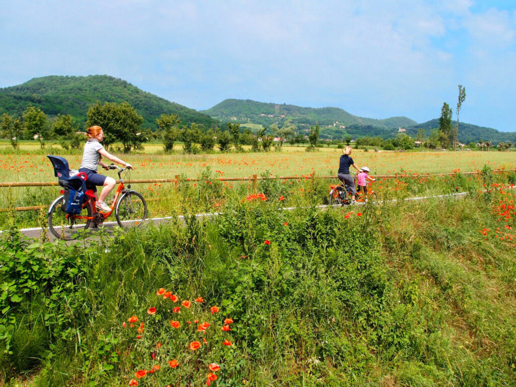 Family crossing on bike fields on Euganean Hills